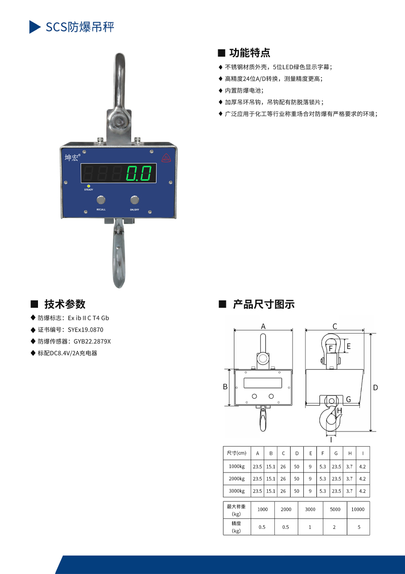 防爆吊秤cy.jpg