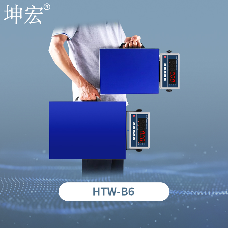HTW-B6便携手提秤